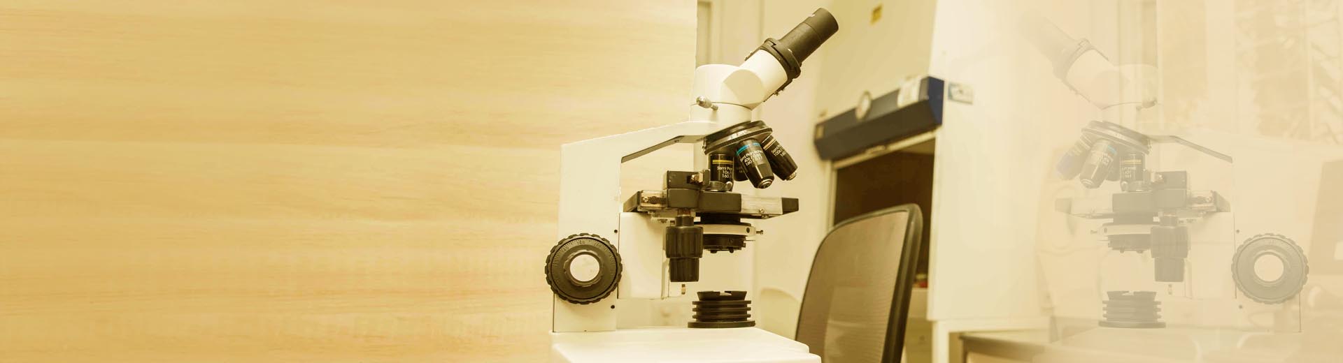 medical diagnostic laboratory in Daltonganj